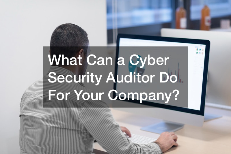 What Can a Cyber Security Auditor Do For Your Company?
