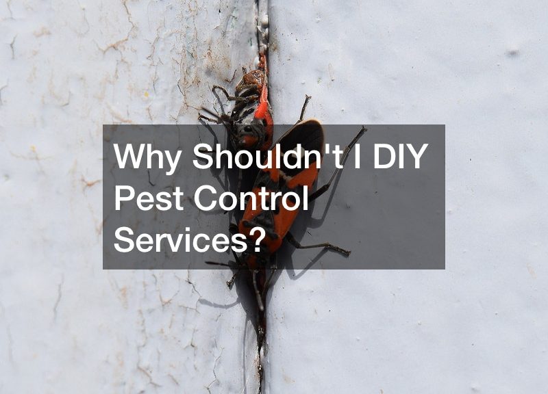 Why Shouldnt I DIY Pest Control Services?