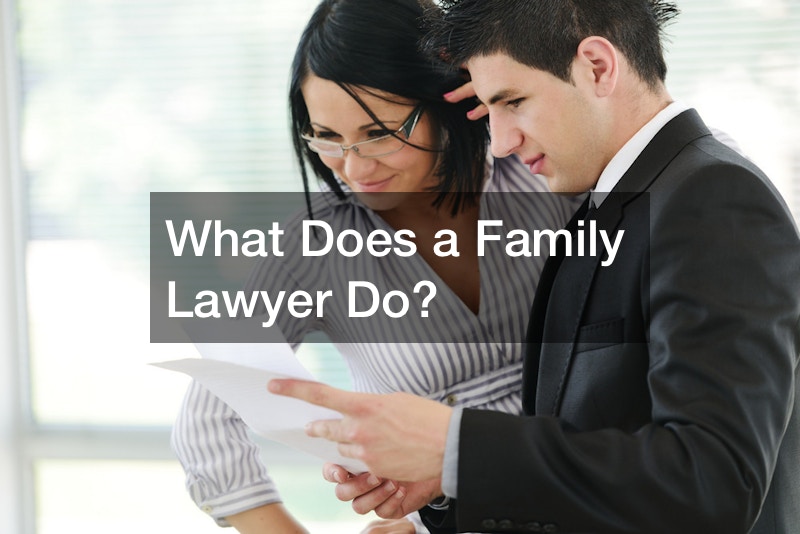 What Does a Family Lawyer Do?