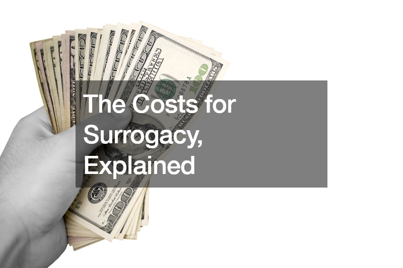 The Costs for Surrogacy, Explained