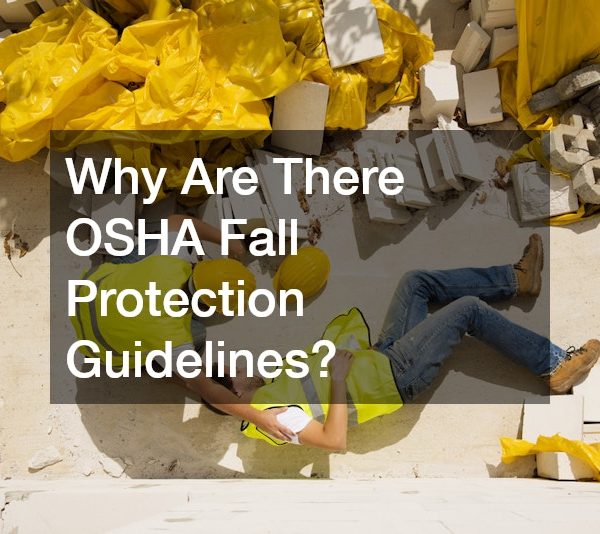 Why Are There OSHA Fall Protection Guidelines?