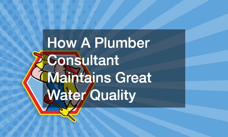 How A Plumber Consultant Maintains Great Water Quality