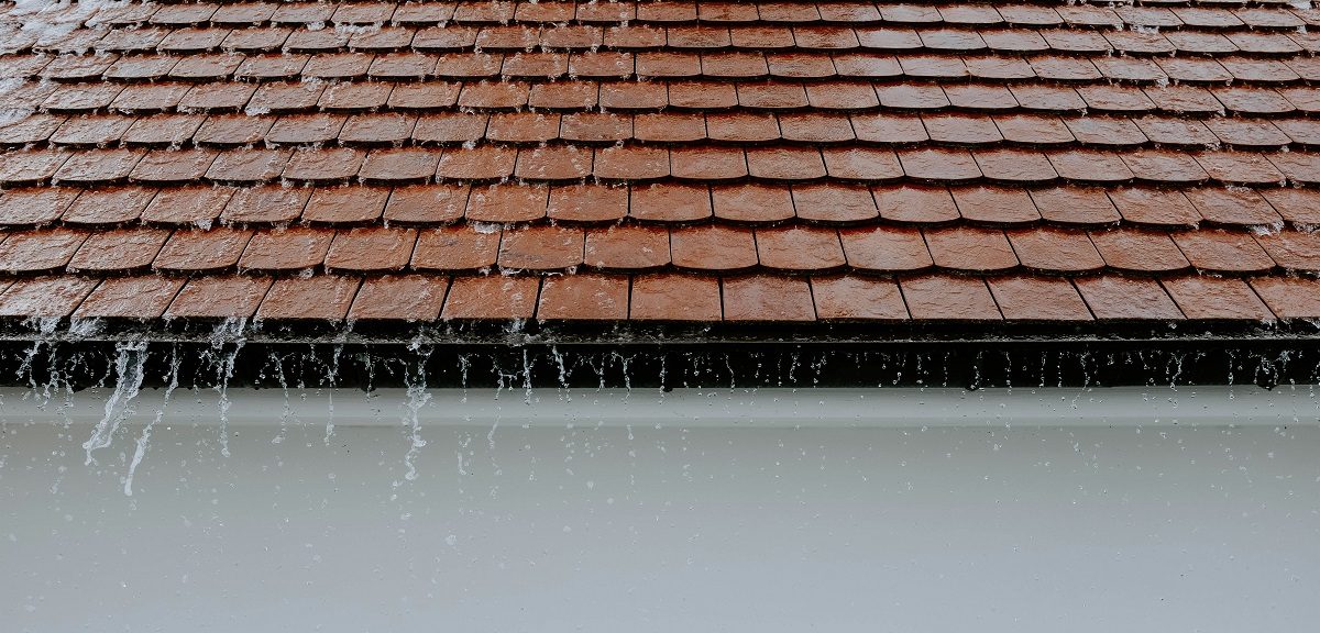 What to Do When Your Roof Is Leaking: A DIY Damage Control Guide